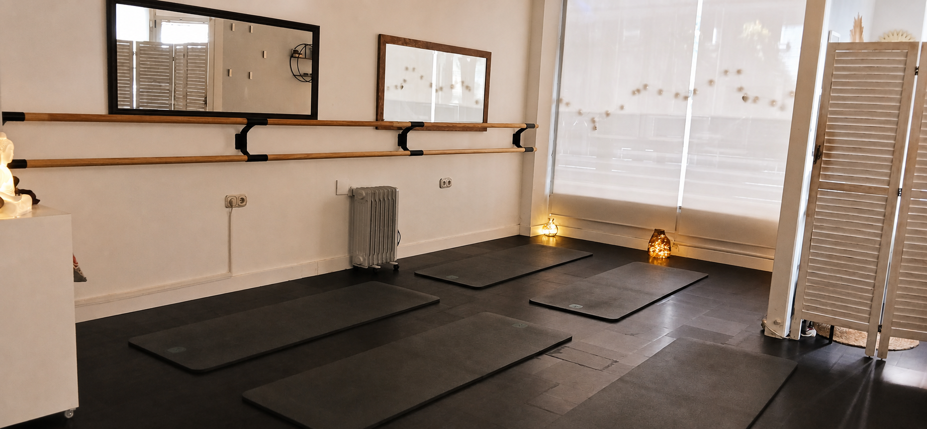 Zona de barras y esterillas